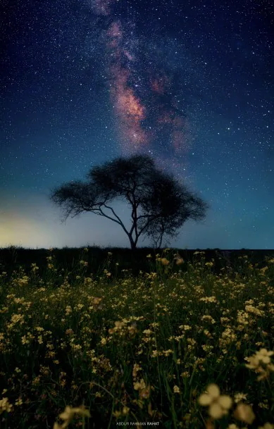 Photograph by member