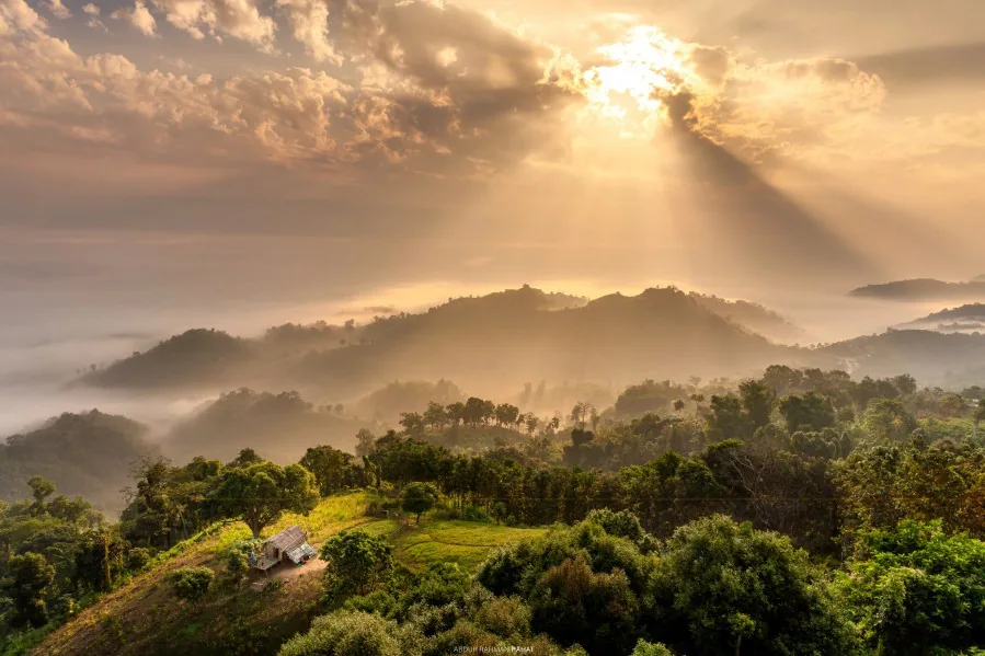 Photograph by member