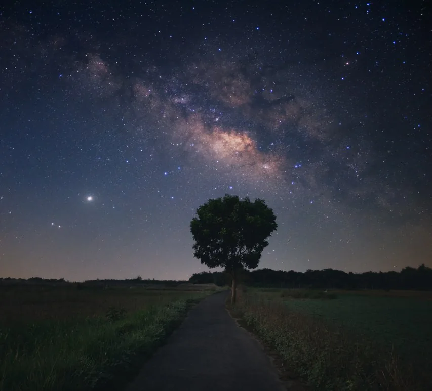 Photograph by member