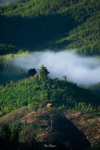 Photograph by member