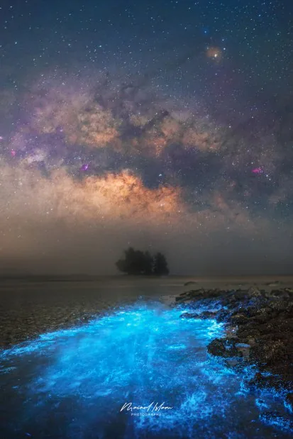 Photograph by member