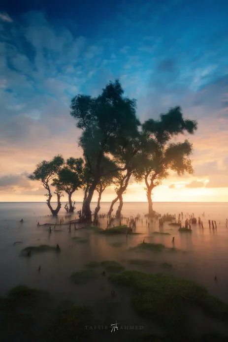 Photograph by member